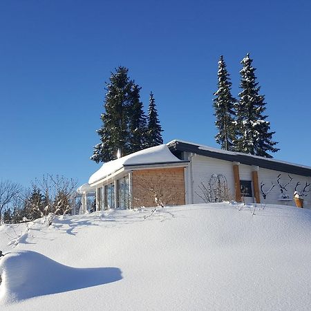 Blockhaus Kik Im Harz Villa Sankt Andreasberg Ngoại thất bức ảnh